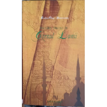 VULTURUL DINCOLO DE CORNUL LUNII
