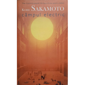 CAMPUL ELECTRIC