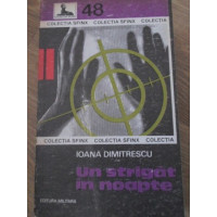 UN STRIGAT IN NOAPTE UN STRIGAT IN NOAPTE