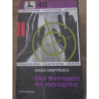 UN STRIGAT IN NOAPTE
