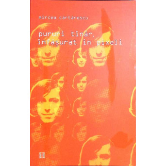 PURURI TANAR, INFASURAT IN PIXELI