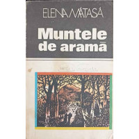 MUNTELE DE ARAMA