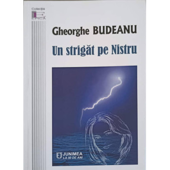 UN STRIGAT PE NISTRU