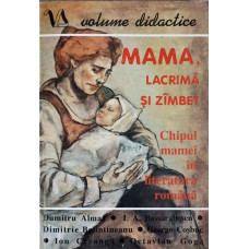 MAMA, LACRIMA SI ZAMBET. CHIPUL MAMEI IN LITERATURA ROMANA