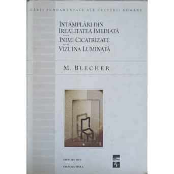 INTAMPLARI DIN IREALITATEA IMEDIATA. INIMI CICATRIZATE. VIZUINA LUMINATA