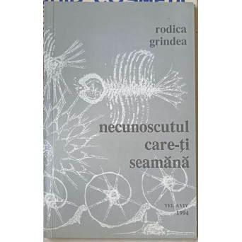 NECUNOSCUTUL CARE-TI SEAMANA