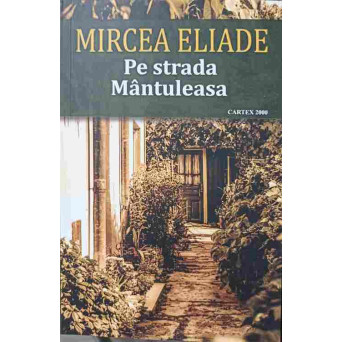 PE STRADA MANTULEASA