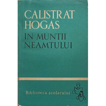 IN MUNTII NEAMTULUI