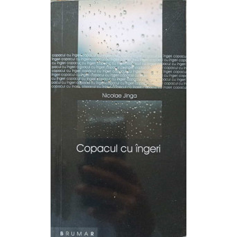 COPACUL CU INGERI (CU DEDICATIA AUTORULUI) COPACUL CU INGERI (CU DEDICATIA AUTORULUI)