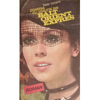 DOAMNA CU VOALETA DIN BALT ORIENT EXPRES DOAMNA CU VOALETA DIN BALT ORIENT EXPRES