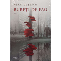 BURETI DE FAG BURETI DE FAG