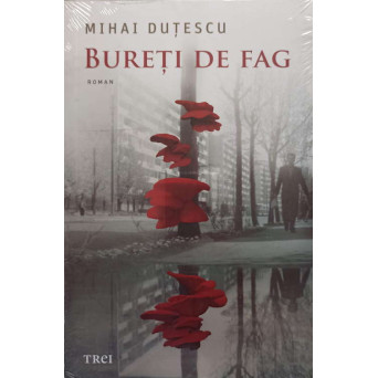 BURETI DE FAG