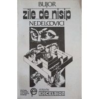 ZILE DE NISIP ZILE DE NISIP