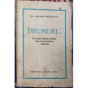 DRUMURI