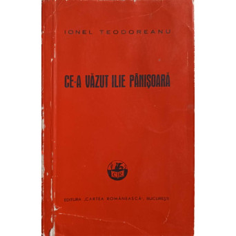 CE-A VAZUT ILIE PANISOARA