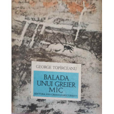 BALADA UNUI GREIER MIC