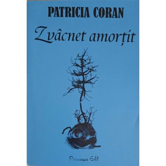 ZVACNET AMORTIT