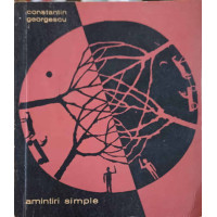 AMINTIRI SIMPLE AMINTIRI SIMPLE