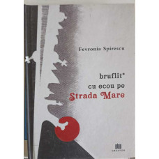 BRUFLIT CU ECOU PE STRADA MARE