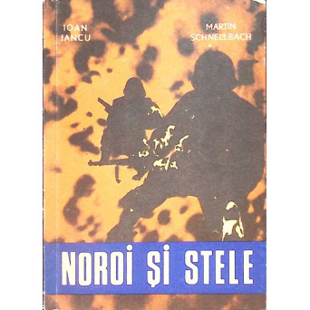 NOROI SI STELE