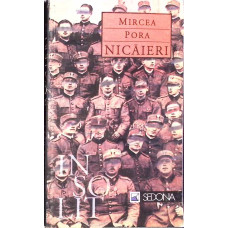 NICAIERI