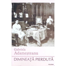 DIMINEATA PIERDUTA