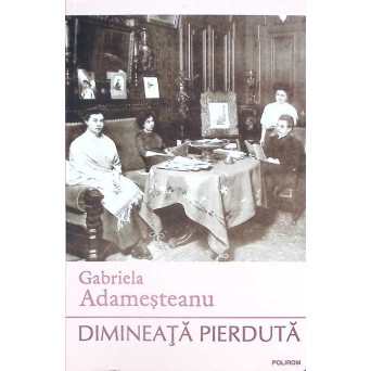 DIMINEATA PIERDUTA