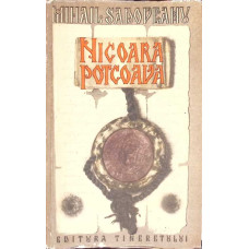 NICOARA POTCOAVA