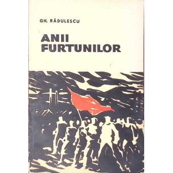 ANII FURTUNILOR