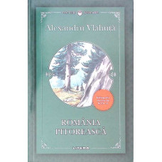 ROMANIA PITOREASCA