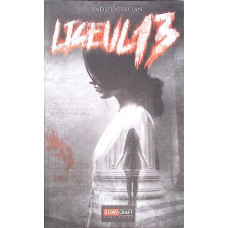 LICEUL 13