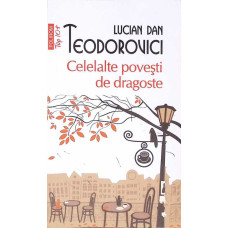 CELELALTE POVESTI DE DRAGOSTE