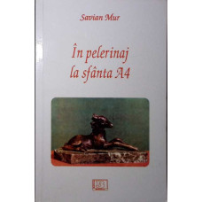 IN PELERINAJ LA SFANTA A4