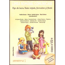 LIMBA ROMANA, COMUNICARE - FISE DE LUCRU, TESTE INITIALE, FORMATIVE SI FINALE - CLASA A VII-A