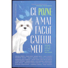 CE POZNE A MAI FACUT CATELUL MEU