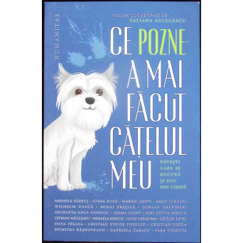 CE POZNE A MAI FACUT CATELUL MEU