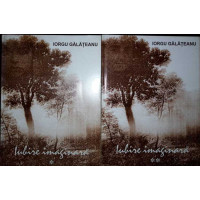 IUBIRE IMAGINARA VOL.1-2 (CU DEDICATIA AUTORULUI)