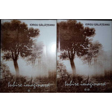IUBIRE IMAGINARA VOL.1-2 (CU DEDICATIA AUTORULUI)