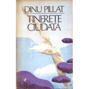 TINERETE CIUDATA. MOARTEA COTIDIANA. JURNALUL UNUI ADOLESCENT