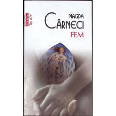 FEM