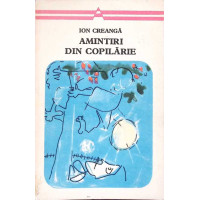 AMINTIRI DIN COPILARIE