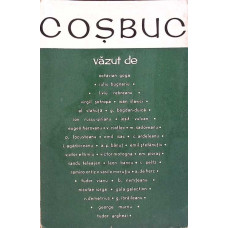 COSBUC VAZUT DE CONTEMPORANI