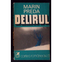 DELIRUL DELIRUL