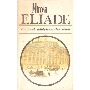 ROMANUL ADOLESCENTULUI MIOP