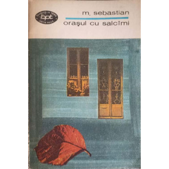 ORASUL CU SALCAMI 