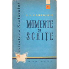 MOMENTE SI SCHITE
