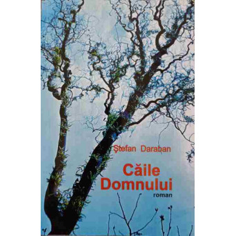 CAILE DOMNULUI