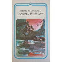NICOARA POTCOAVA