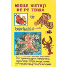 MICILE VIETATI DE PE TERRA