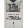 ROMANIA PITOREASCA